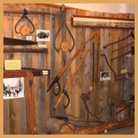 Lumber exhibit, first floor.